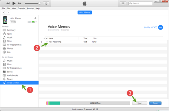Speichern Sie Voicemails vom iPhone auf den PC/Mac