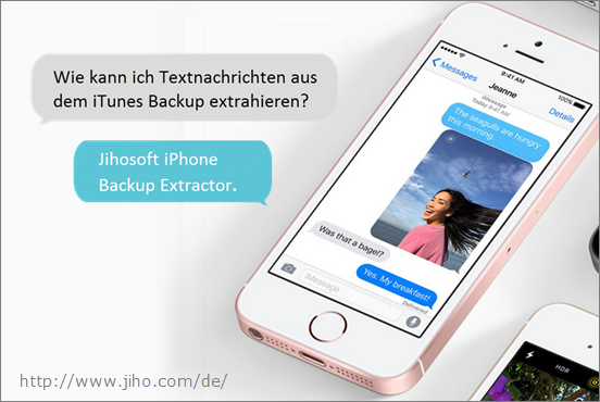 Die beste Software, um Nachrichten aus iPhone Backup zu extrahieren