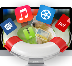 File Recovery
