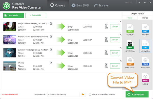 Convertir la vidéo en MP4