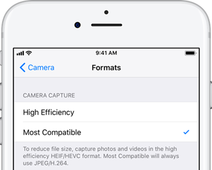 Cómo tomar fotos en el formato JPEG en iOS 11?