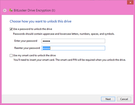 flash drive encryption for mac and windows