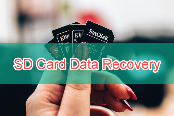 SD Memory Card Data Recovery