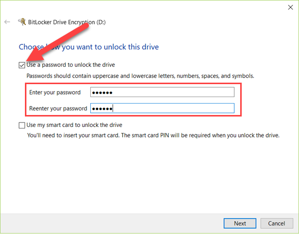 Use a password to unlock the drive.