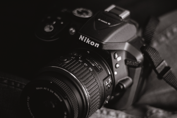 Best Nikon Photo Recovery Solution for Restoring JPEG and NEF Files