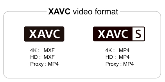 ¿Qué es XAVC?