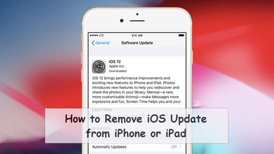 ¿Cómo eliminar la actualización de iOS?