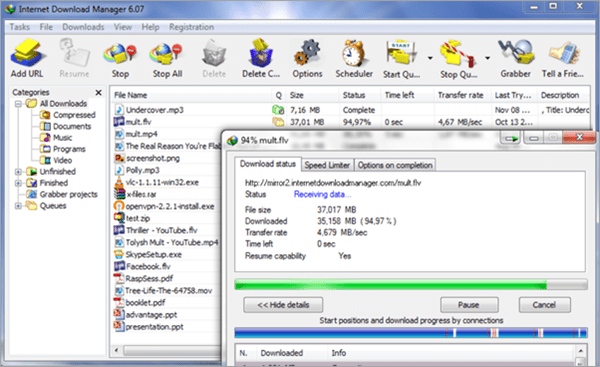 Internet Download Manager has been popular for many years.