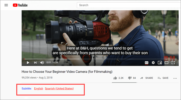 How to Extract Subtitles from Video Online YouTube